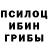 Псилоцибиновые грибы MAGIC MUSHROOMS Jesse Heifort