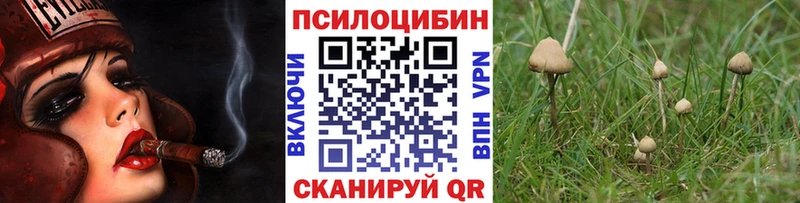 Псилоцибиновые грибы Cubensis  kraken ССЫЛКА  Сусуман 